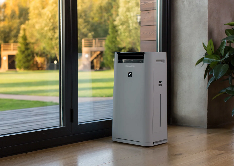 air purifiers

